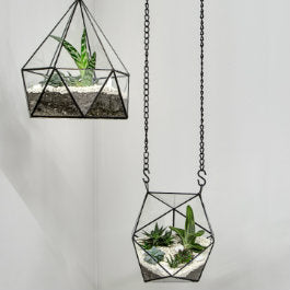 The Ultimate Guide to Hanging Plants and Vertical Gardens – Hoselink