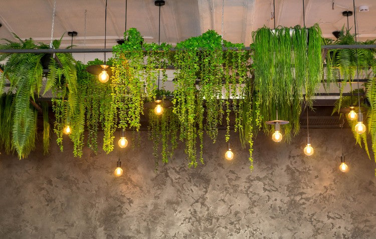 How to Hang Vines and Greenery from Any Surface
