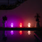 Three lit up solar cactus lights beside a pool