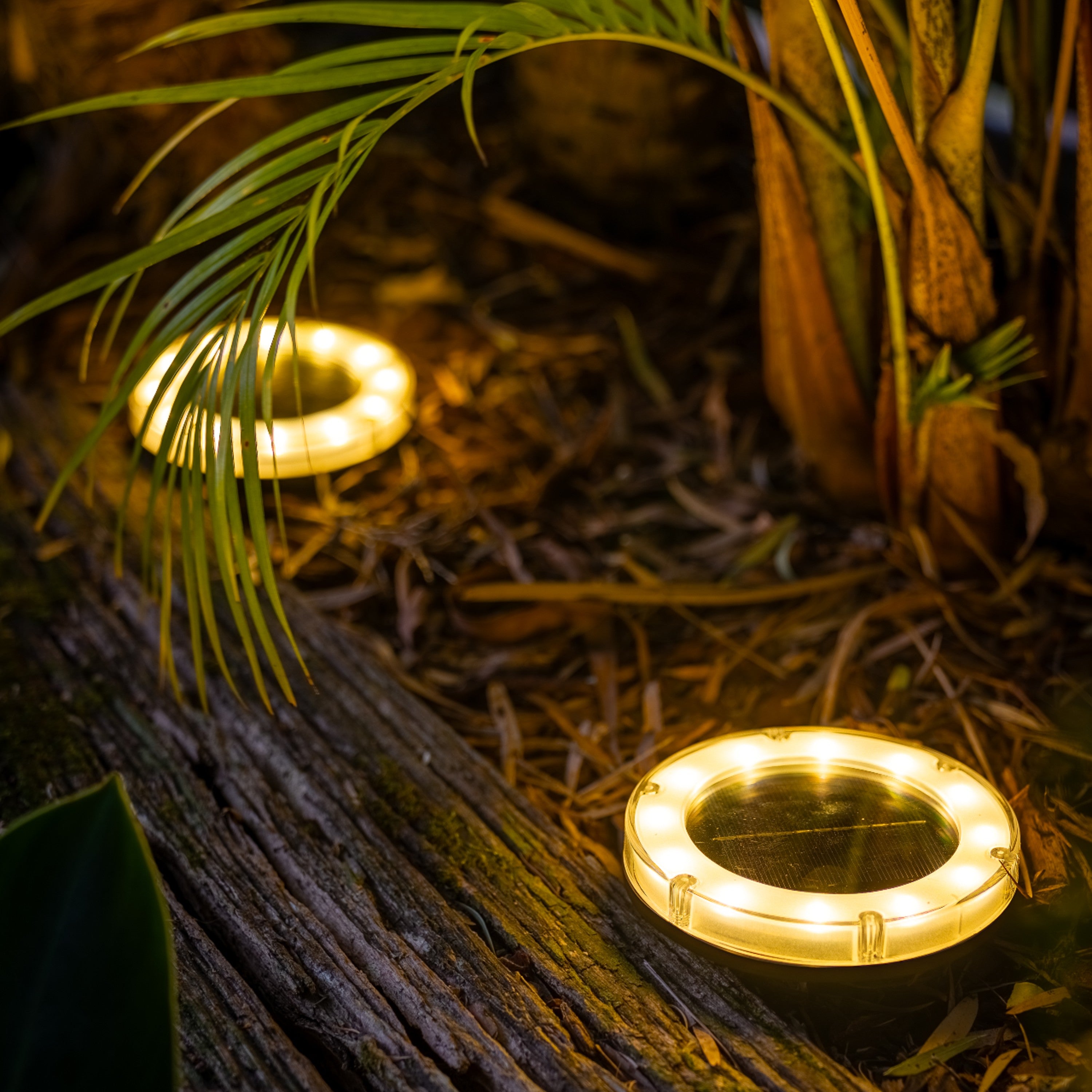 Solar ground deals garden lights