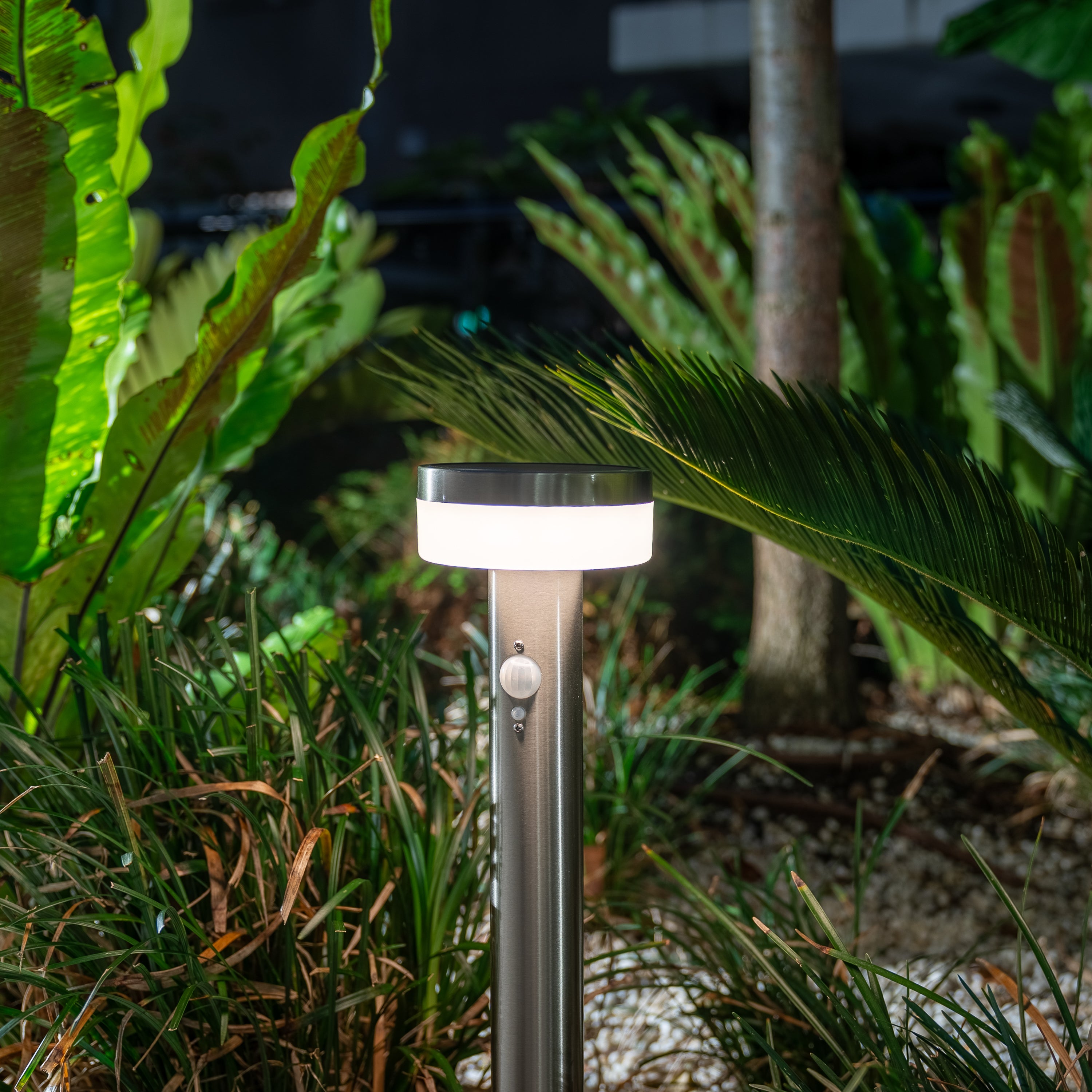 Stainless steel deals outdoor solar lights