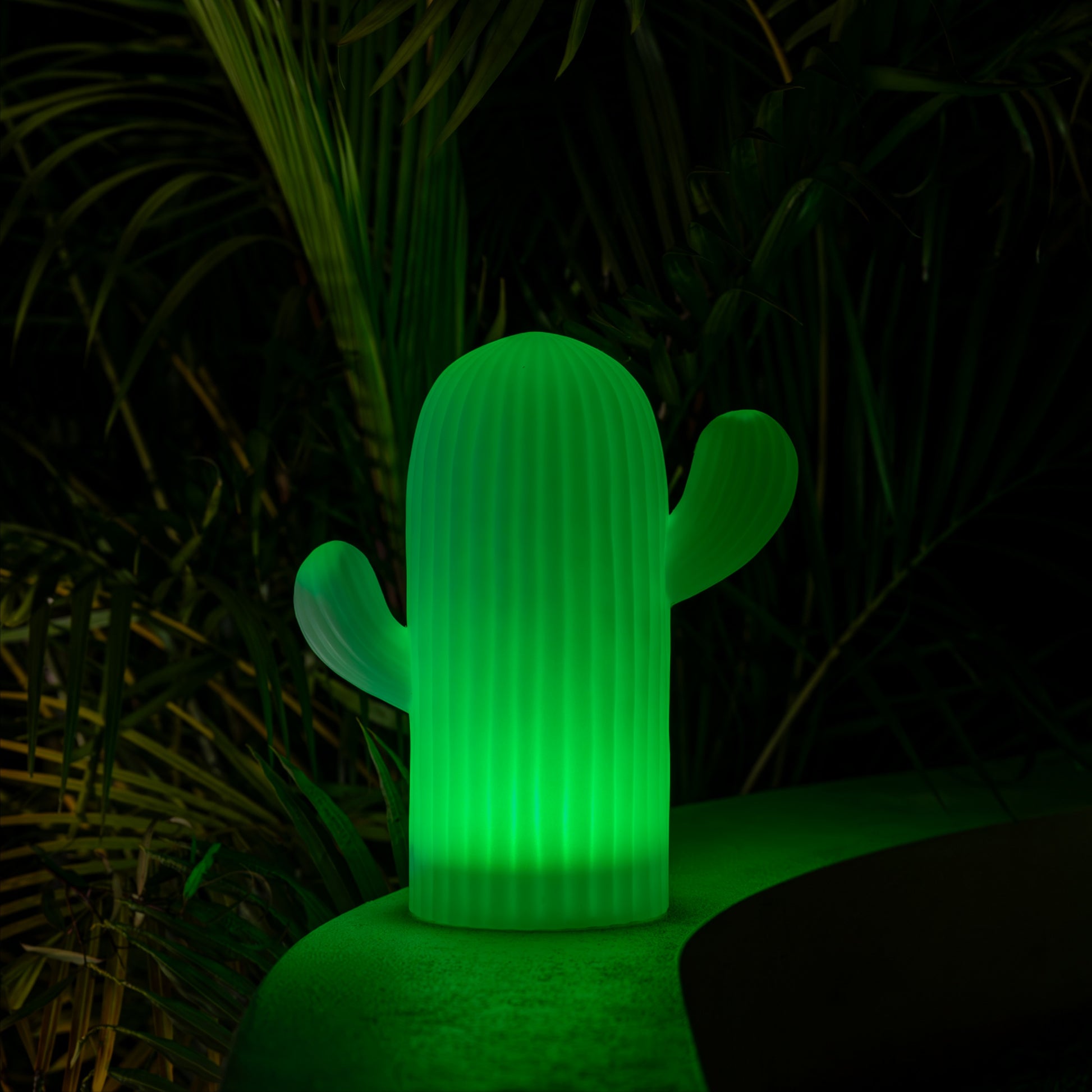 Cactus solar light on wall with greenery behind