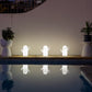 Three white cactus solar lights beside a pool