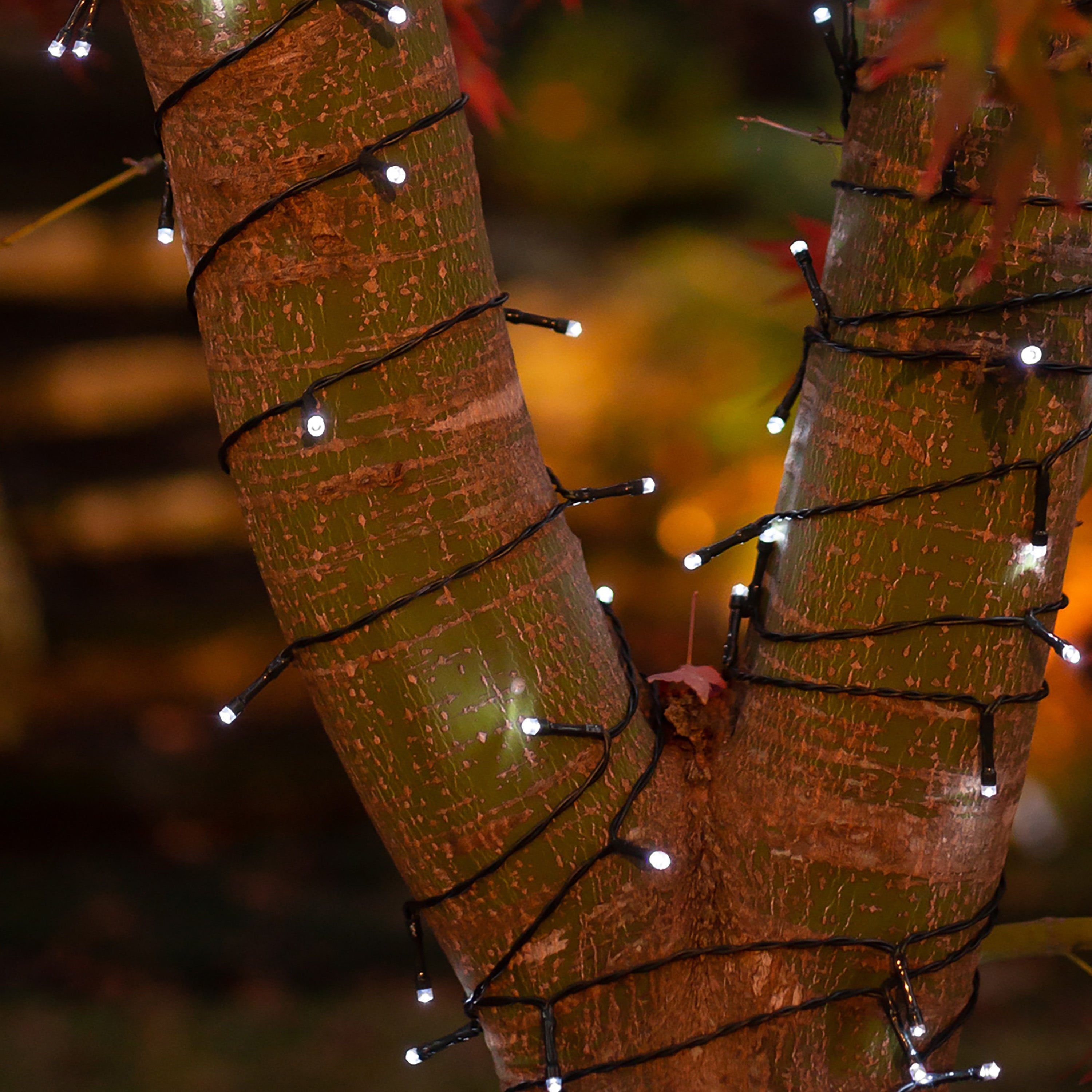 Outdoor solar store twig lights