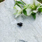 Evolve Gear Tooth on a grey rock next to green flowers