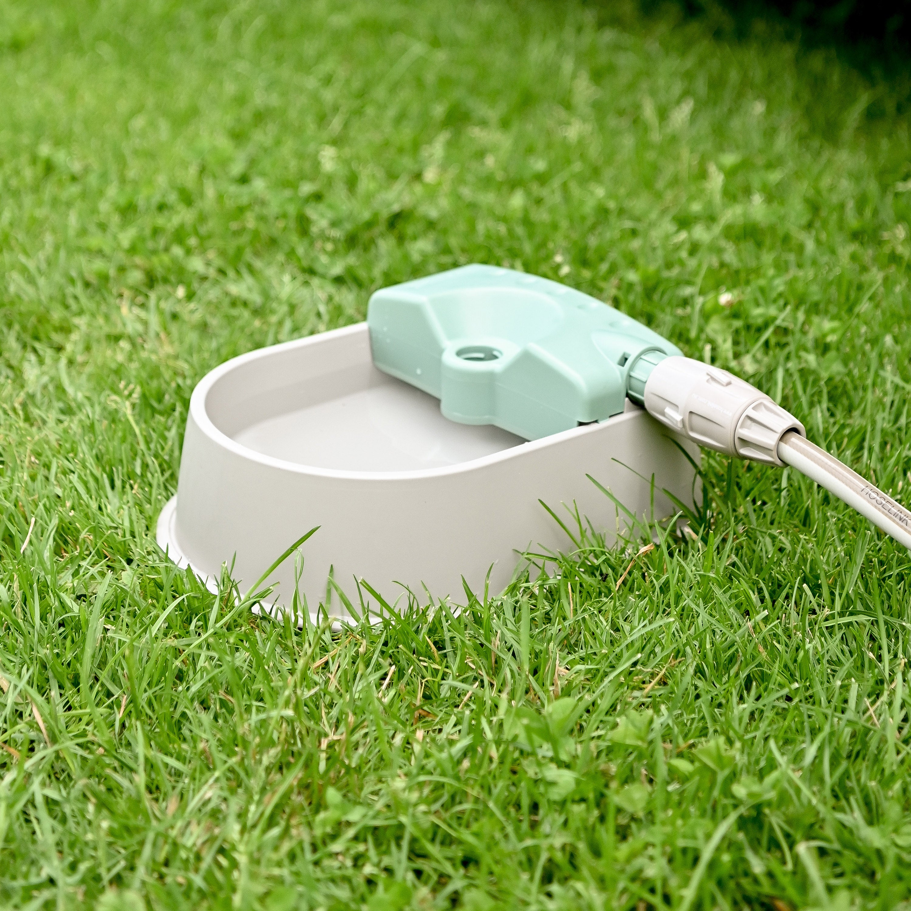 Auto fill Pet Water Bowl with 5m Hose Tap Connector Hoselink