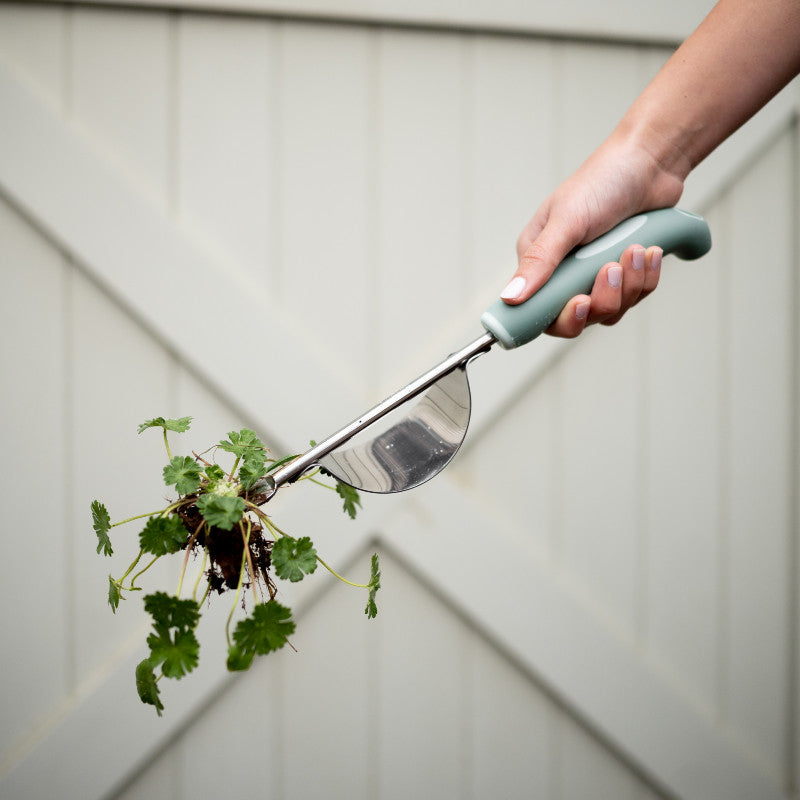 Hoselink 2024 weed puller