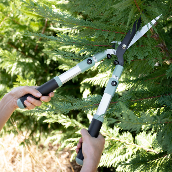 2-in-1 Hand Hedge Shears | Telescopic Hedge Shears | Hoselink