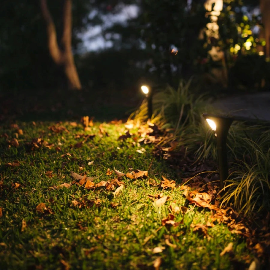 Outdoor solar store sidewalk lights