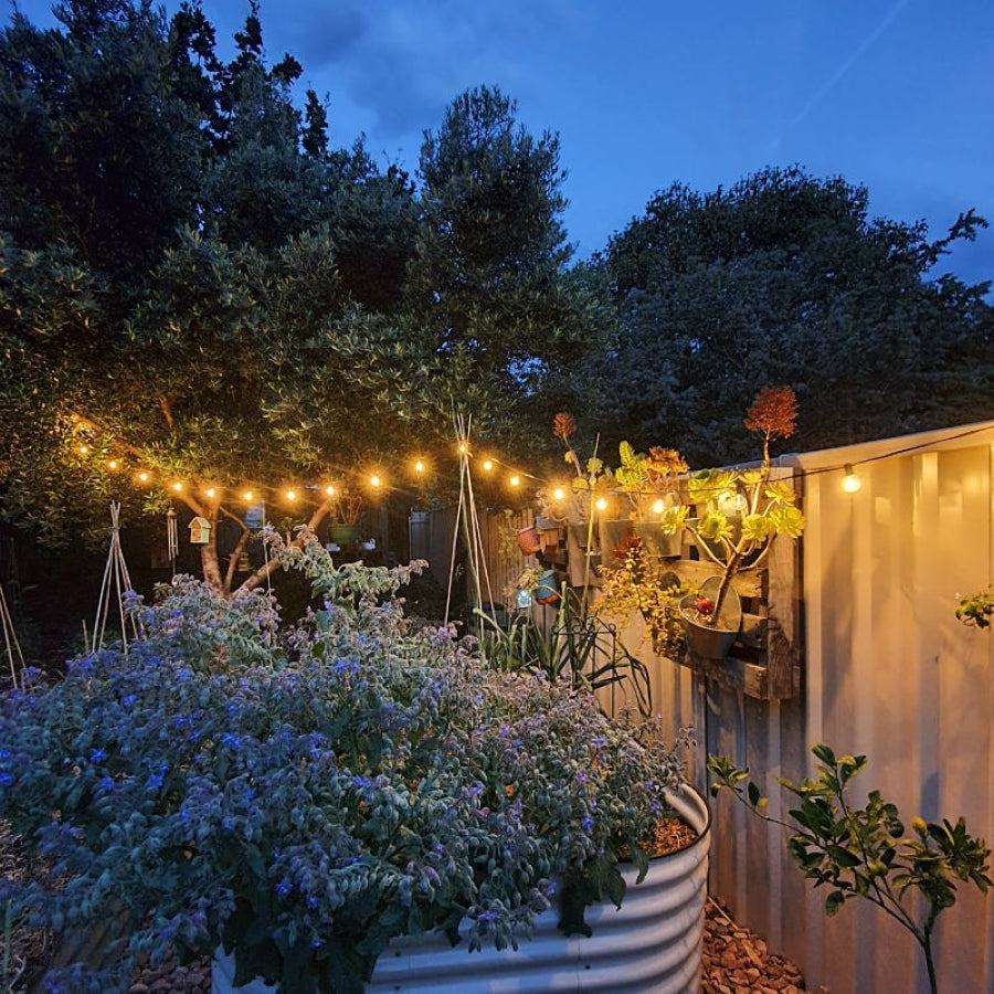 Backyard festoon deals lights