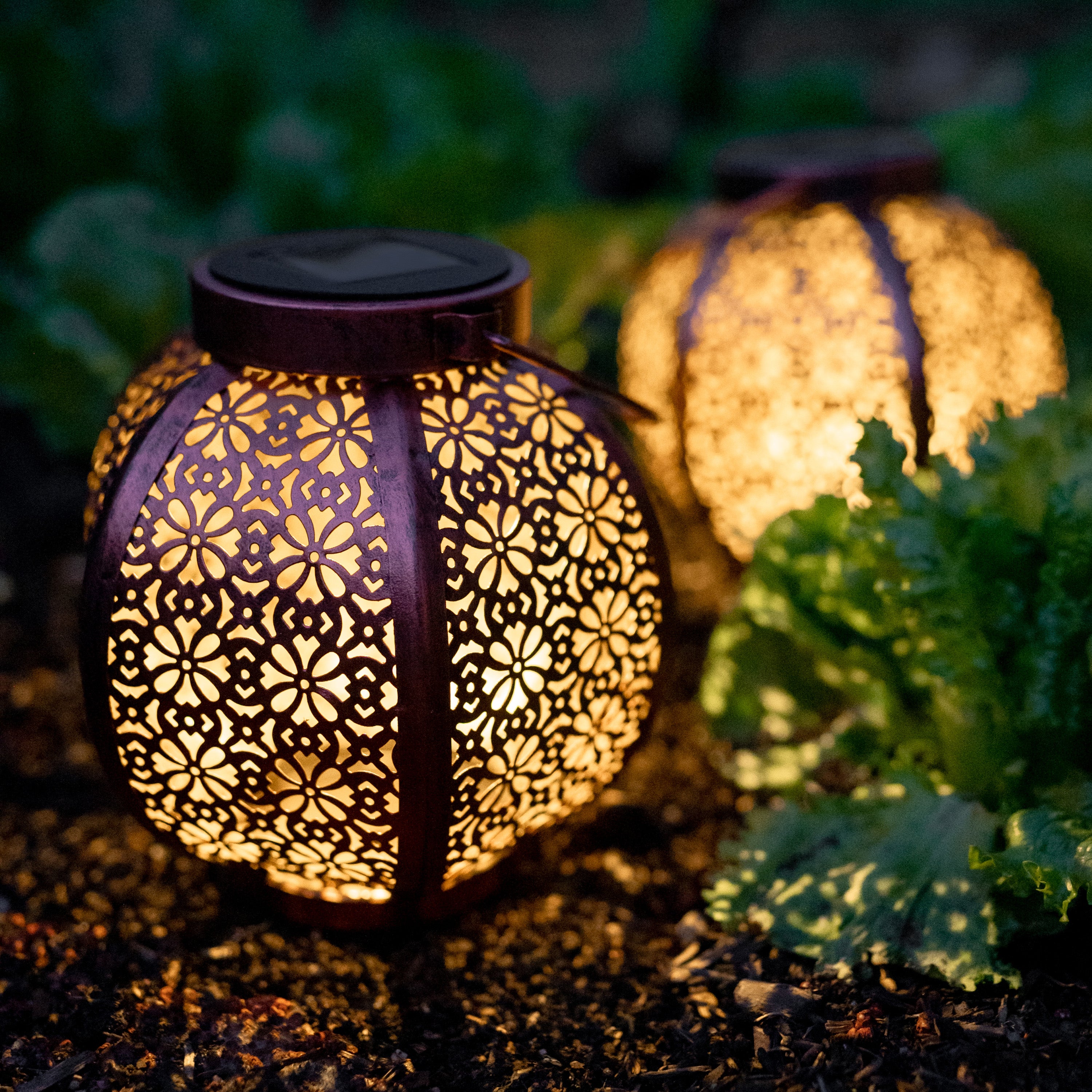 Ornamental store garden lights